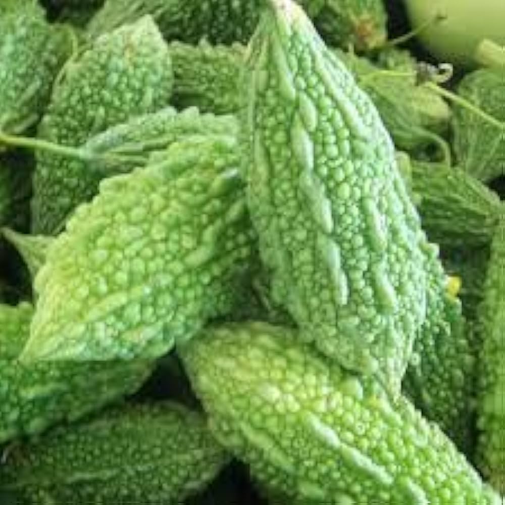 Open-pollinated gourd plant grown from seeds with natural-shaped gourds in varied sizes